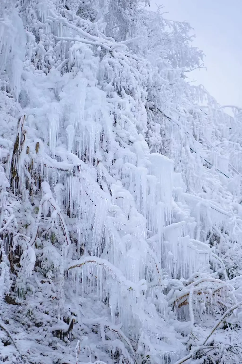冬赴冰雪